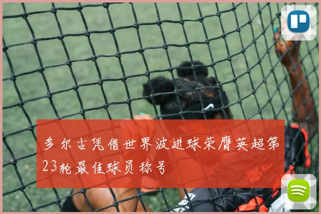 多尔古凭借世界波进球荣膺英超第23轮最佳球员称号