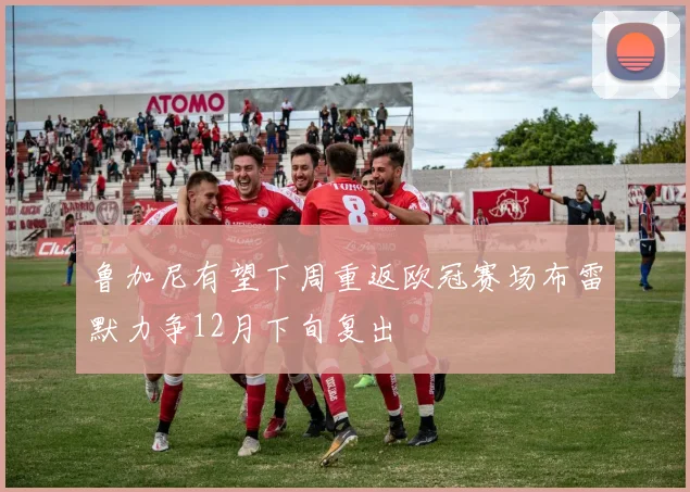 鲁加尼有望下周重返欧冠赛场布雷默力争12月下旬复出