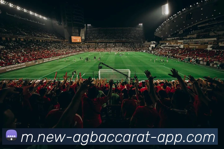 AG百家乐APP 封面图